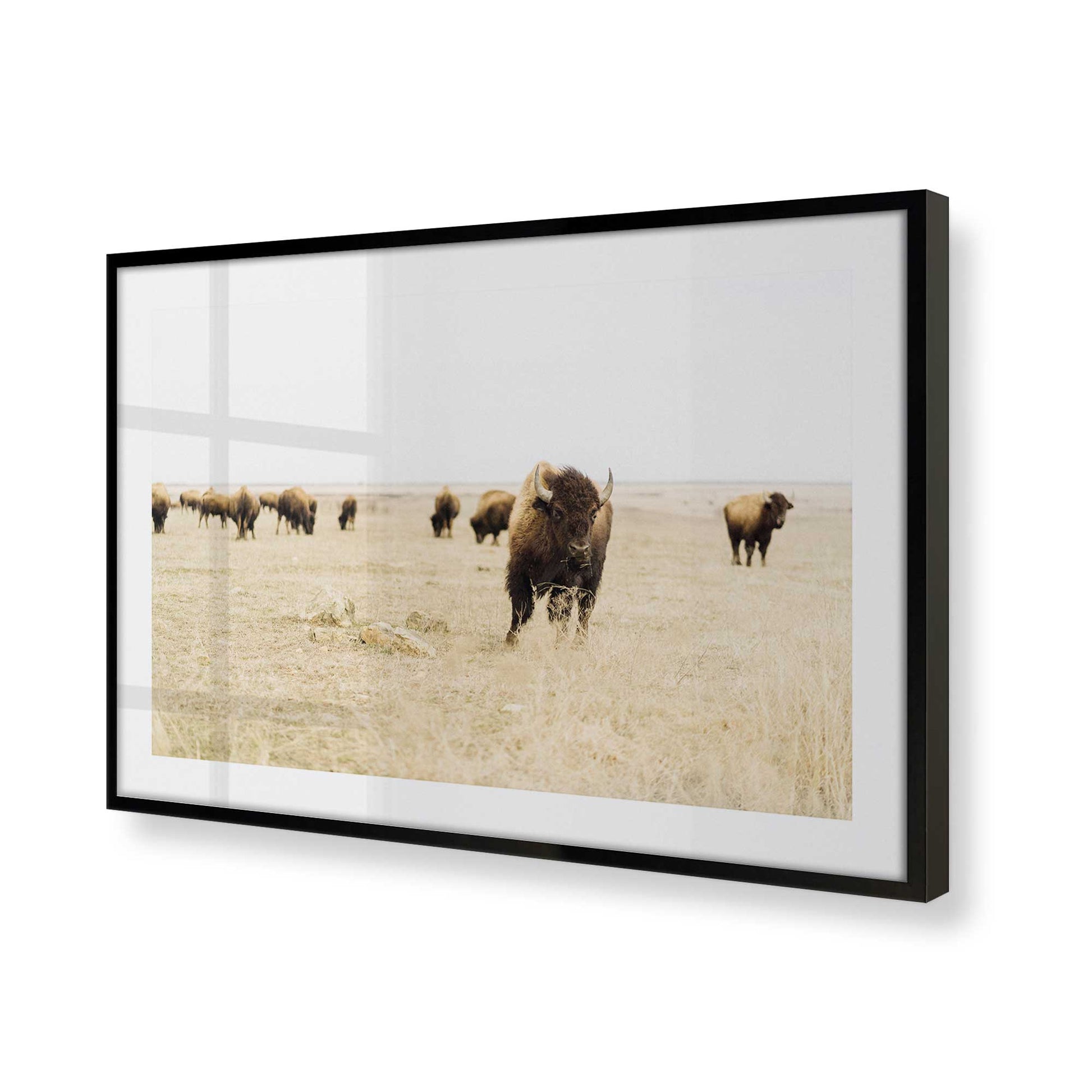 [Color:Satin Black], Picture of art in a Satin Black frame at an angle