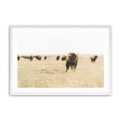 [Color:Opaque White], Picture of art in a Opaque White frame