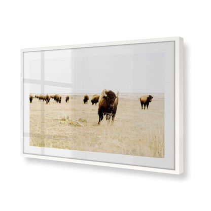 [Color:Opaque White], Picture of art in a Opaque White frame at an angle
