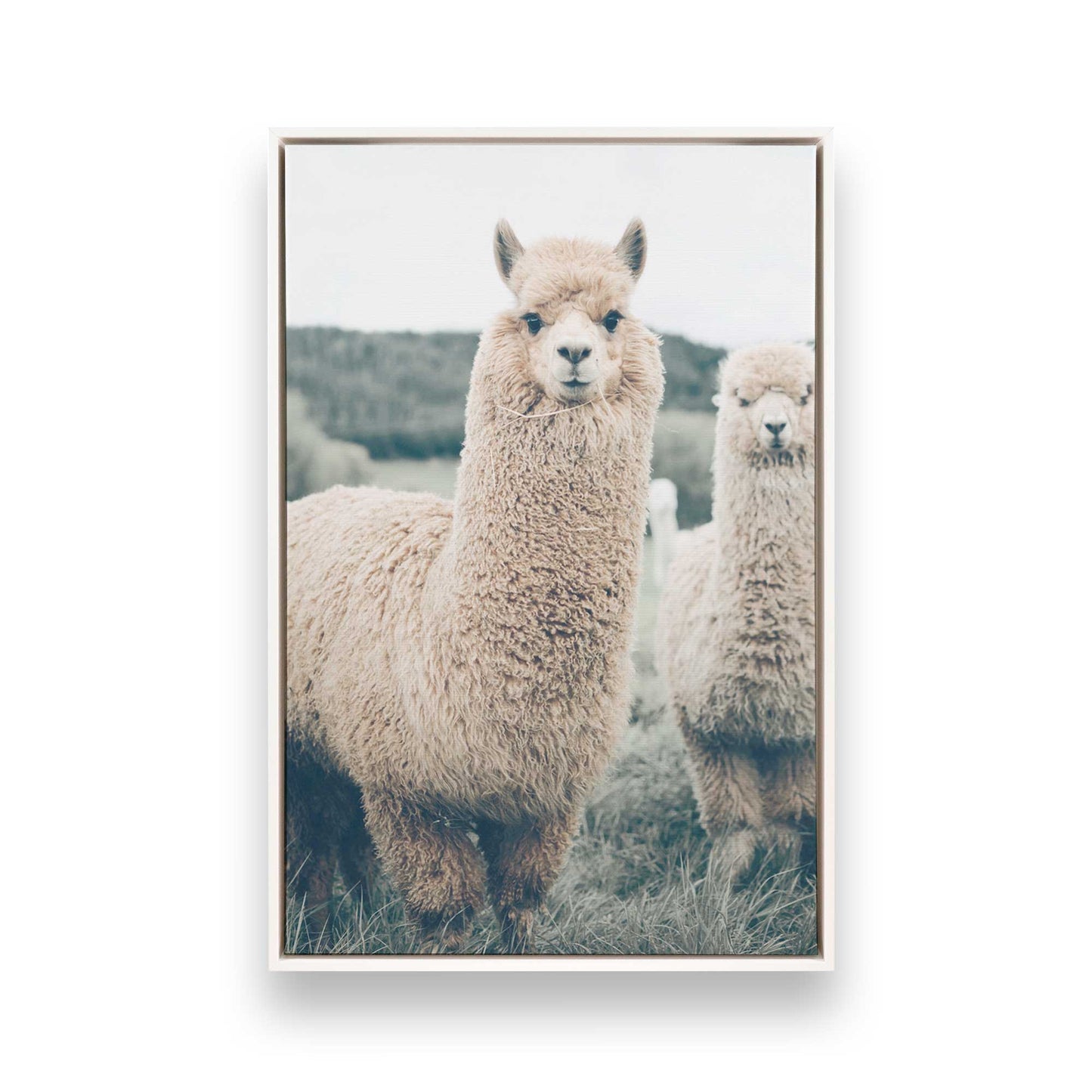 [Color:Opaque White] Picture of art in a White frame