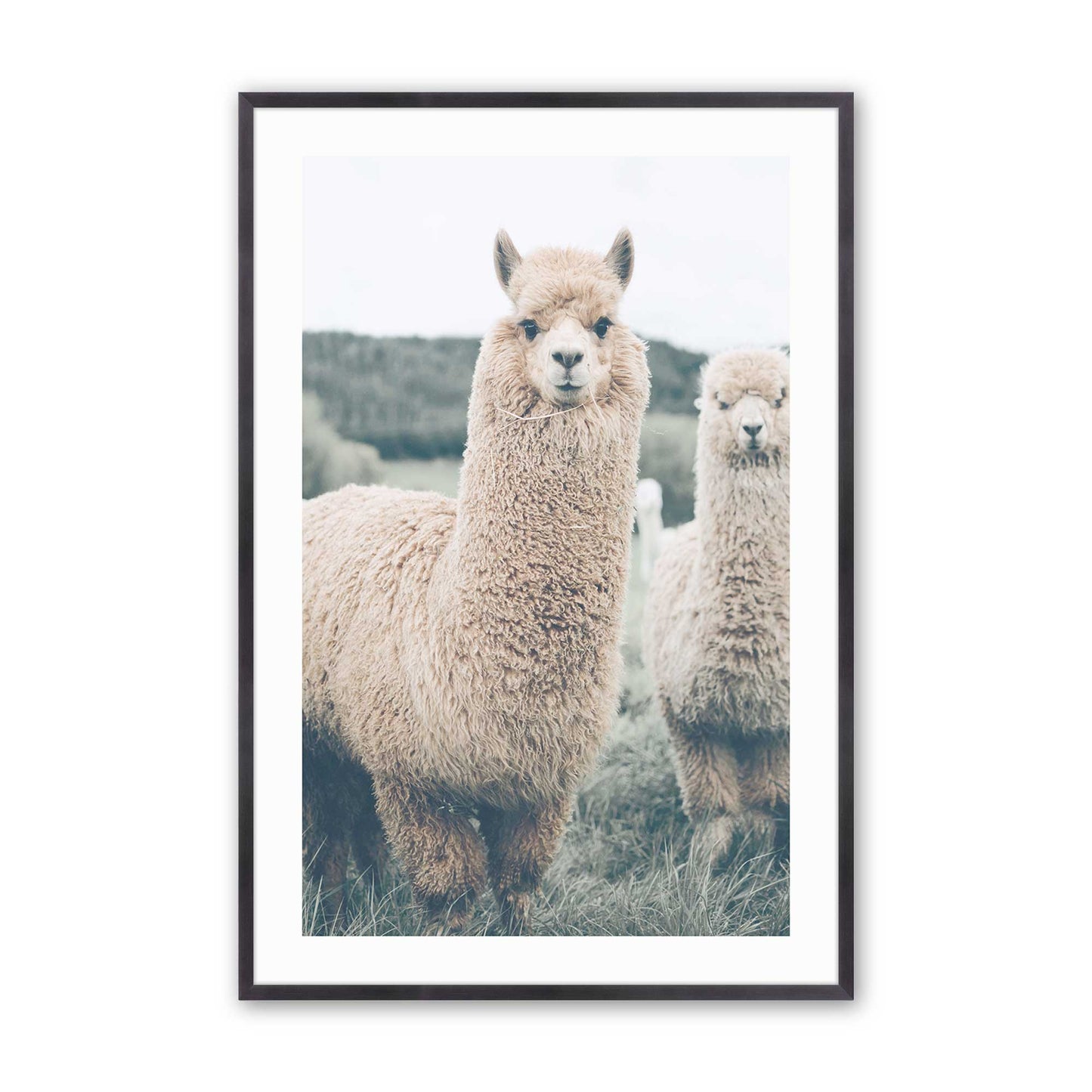 [Color:Weathered Zinc], Picture of art in a Weathered Zinc frame
