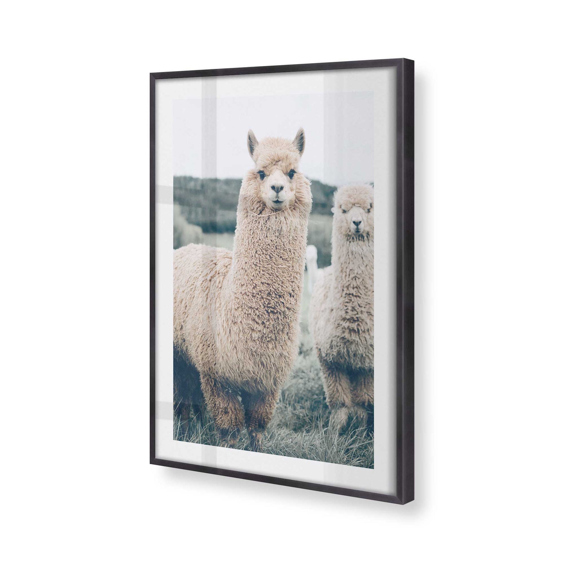 [Color:Weathered Zinc], Picture of art in a Weathered Zinc frame at an angle