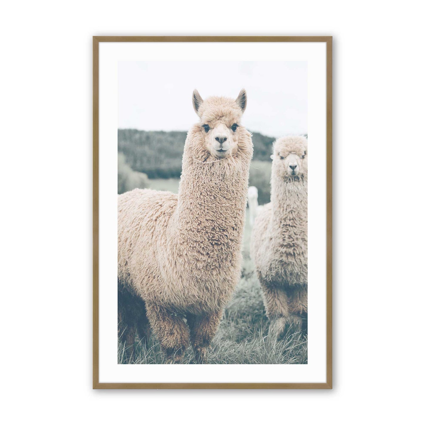 [Color:Brushed Gold], Picture of art in a Brushed Gold frame