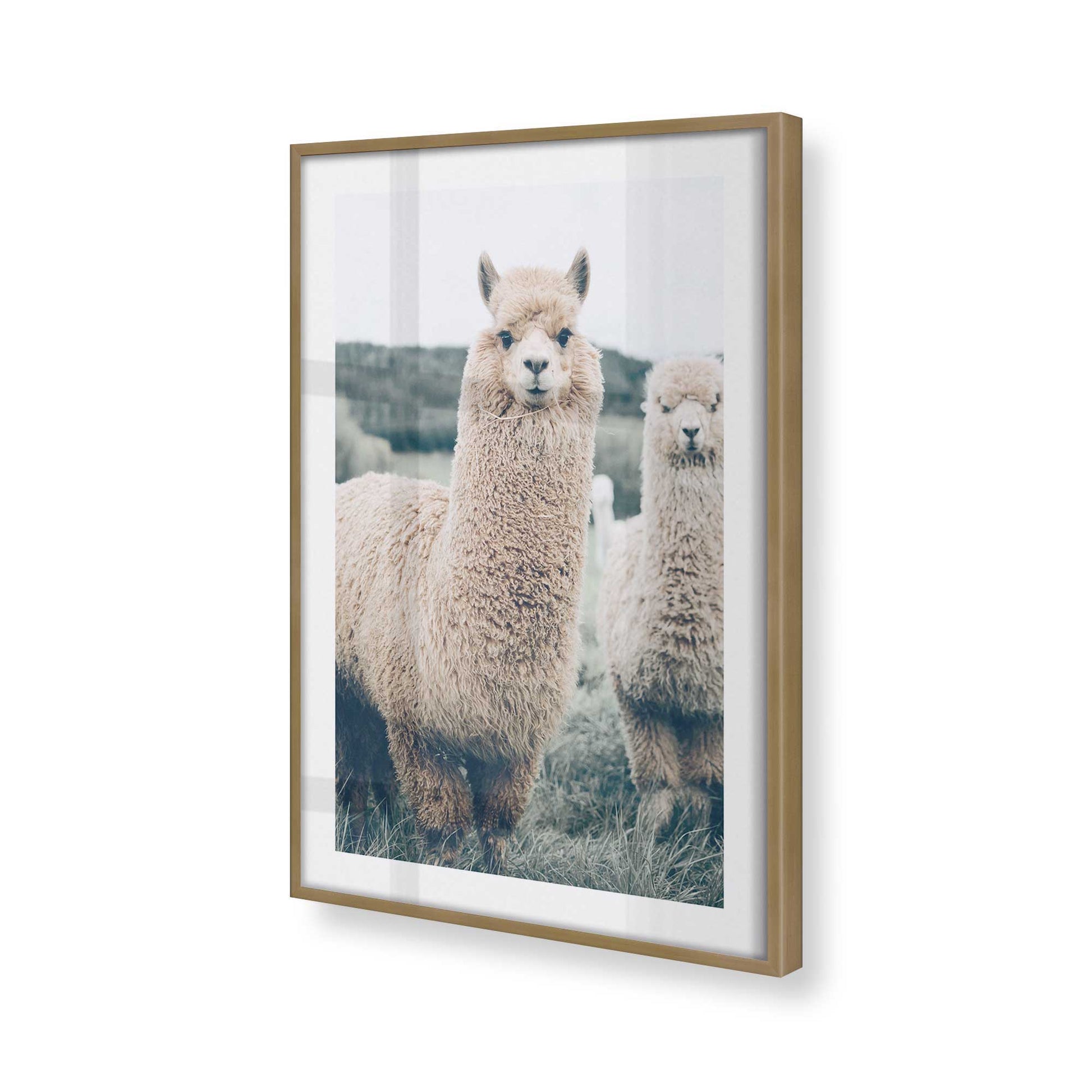 [Color:Brushed Gold], Picture of art in a Brushed Gold frame at an angle