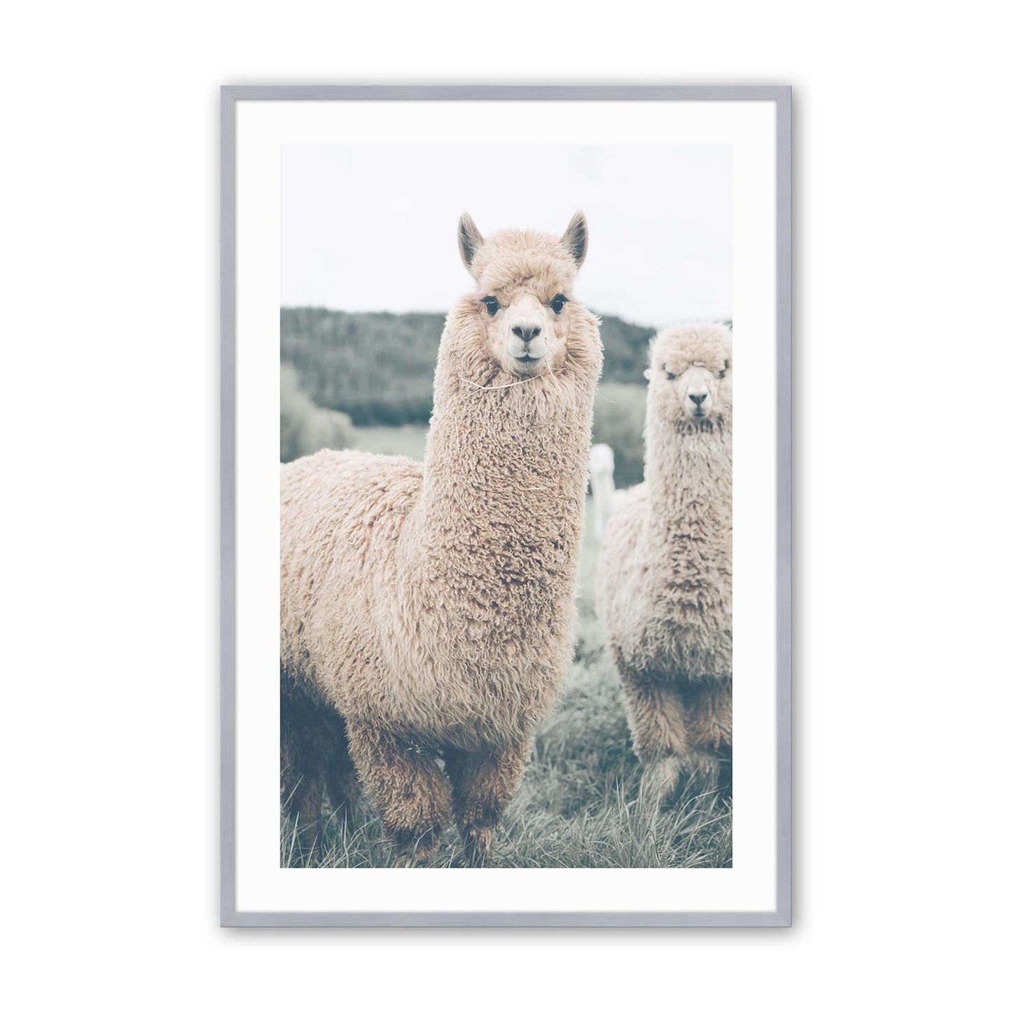 [Color:Polished Chrome], Picture of art in a Polished Chrome frame
