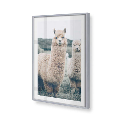 [Color:Polished Chrome], Picture of art in a Polished Chrome frame at an angle
