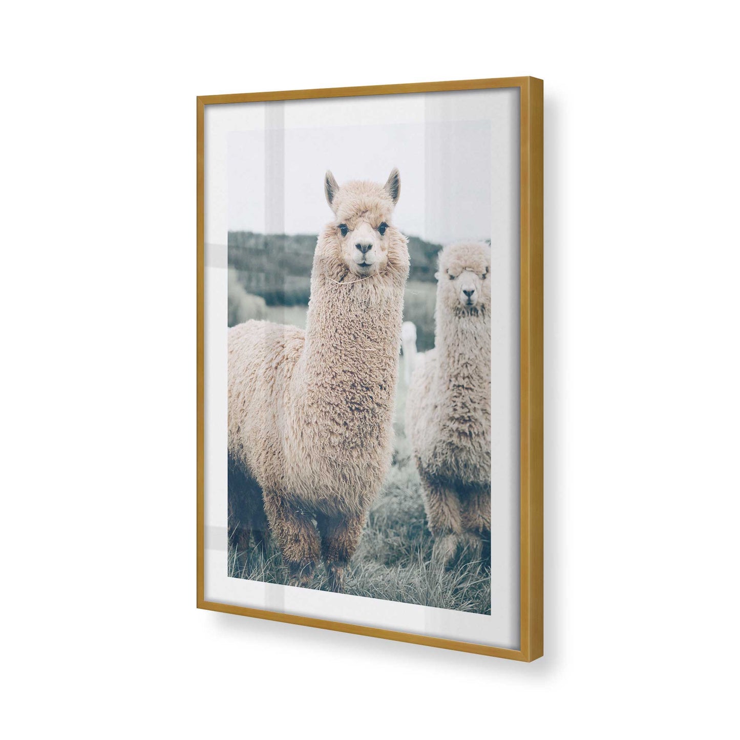 [Color:Polished Gold], Picture of art in a Polished Gold frame at an angle
