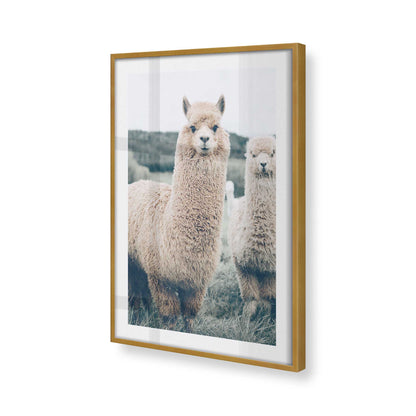 [Color:Polished Gold], Picture of art in a Polished Gold frame at an angle