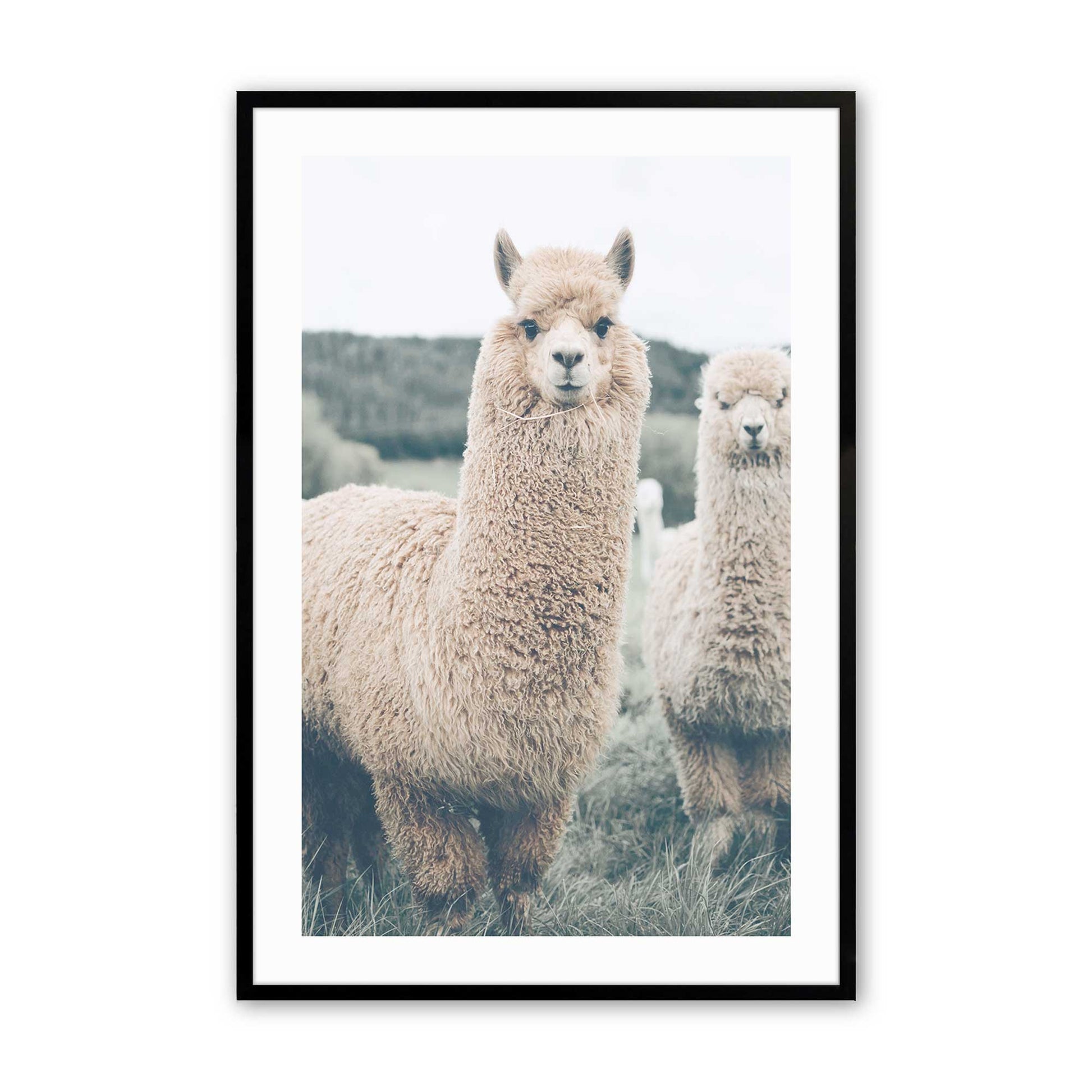 [Color:Satin Black], Picture of art in a Satin Black frame