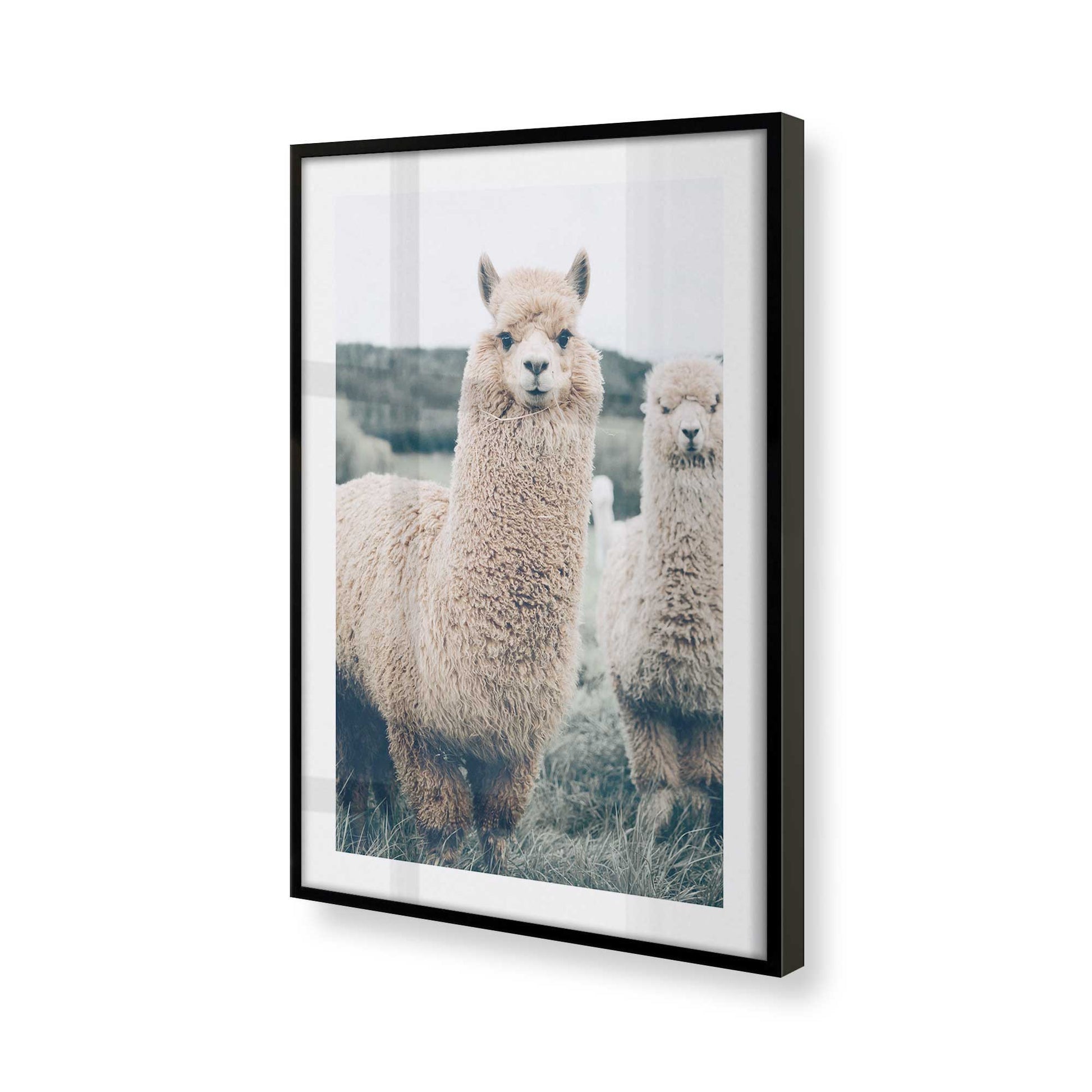 [Color:Satin Black], Picture of art in a Satin Black frame at an angle