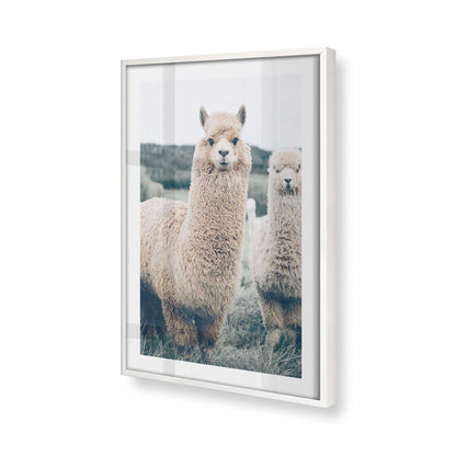 [Color:Opaque White], Picture of art in a Opaque White frame at an angle