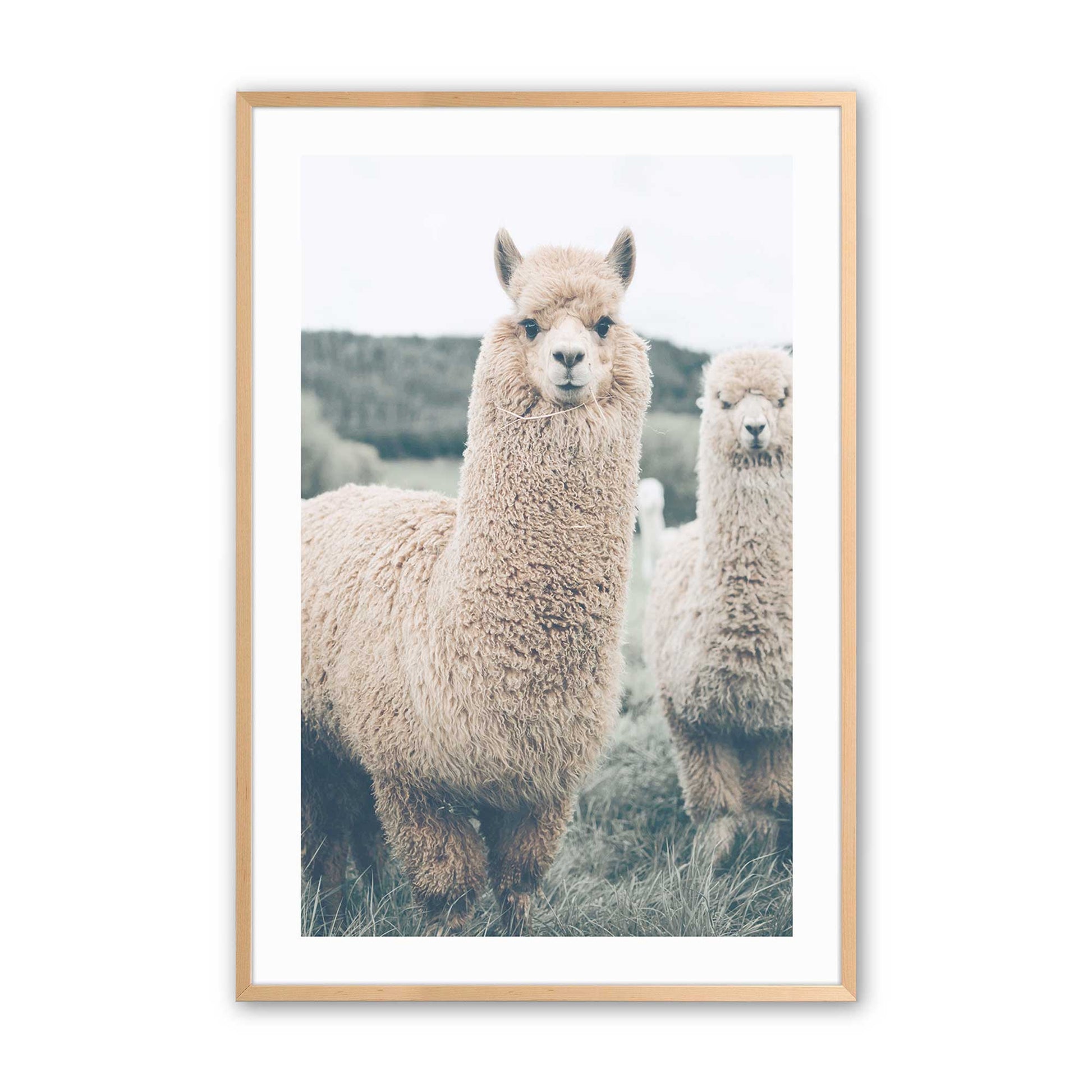[Color:Raw Maple], Picture of art in a Raw Maple frame