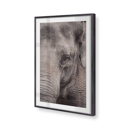 [Color:Weathered Zinc], Picture of art in a Weathered Zinc frame at an angle