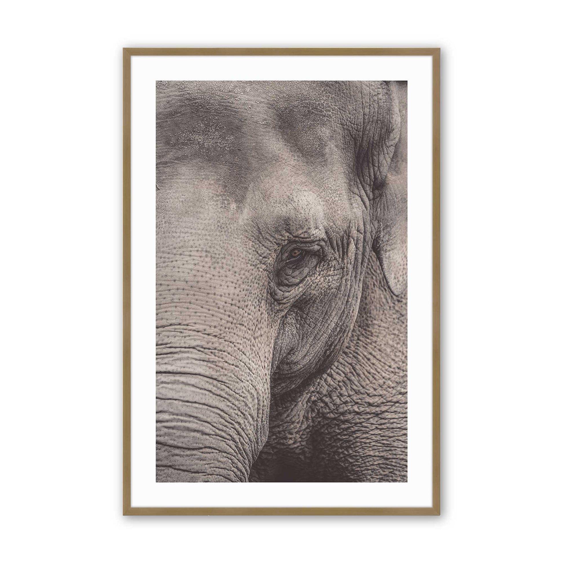 [Color:Brushed Gold], Picture of art in a Brushed Gold frame