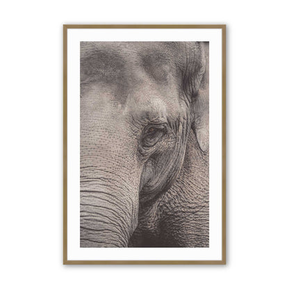 [Color:Brushed Gold], Picture of art in a Brushed Gold frame