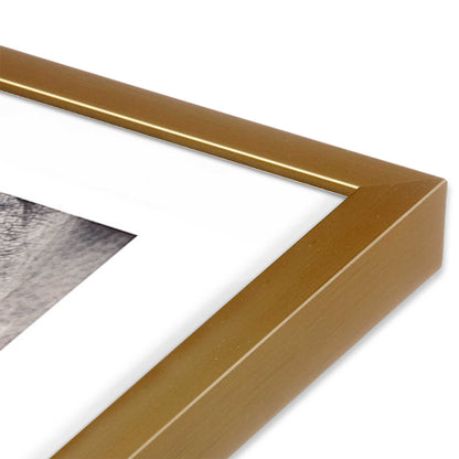 [Color:Polished Gold], Picture of art in a Polished Gold frame of the corner