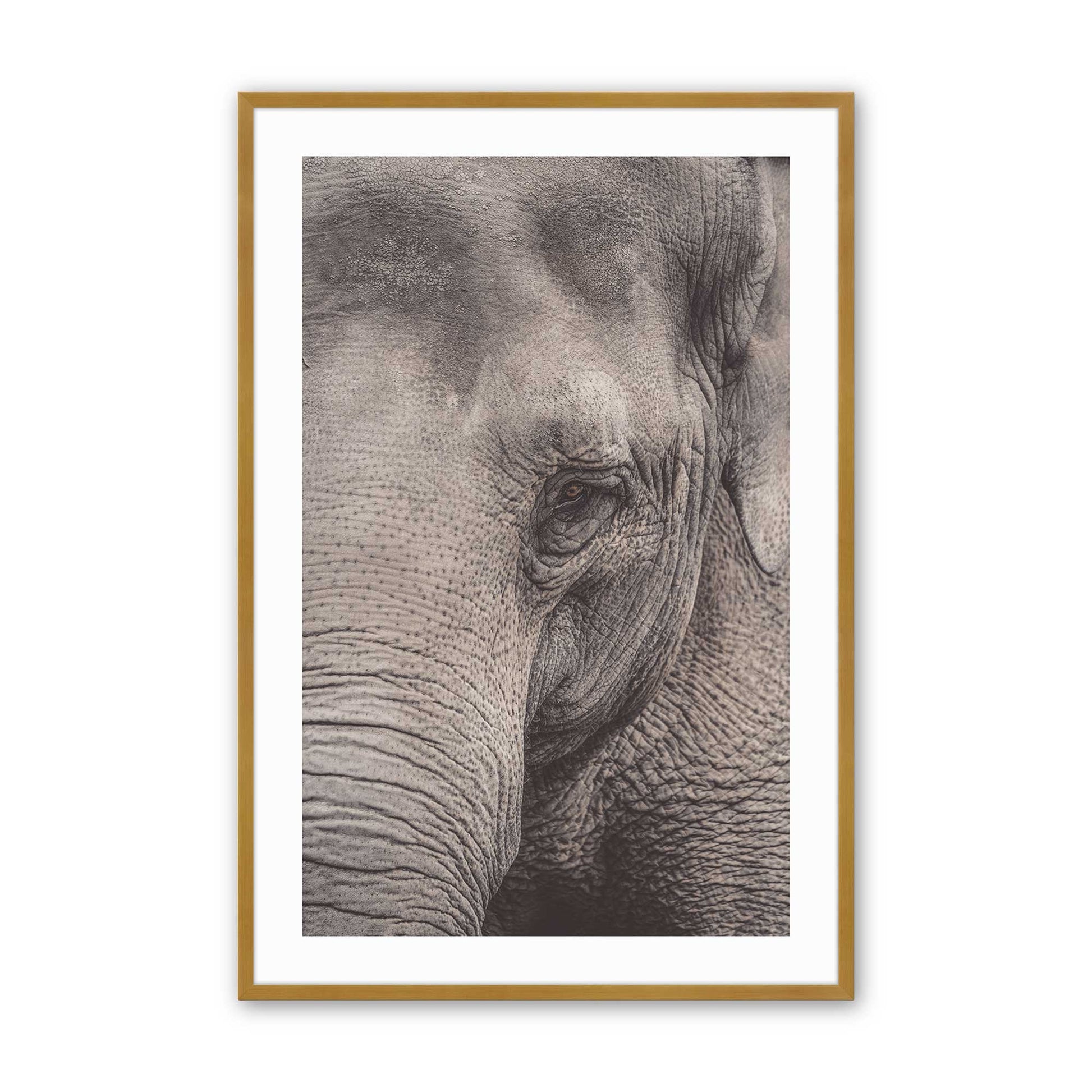 [Color:Polished Gold], Picture of art in a Polished Gold frame