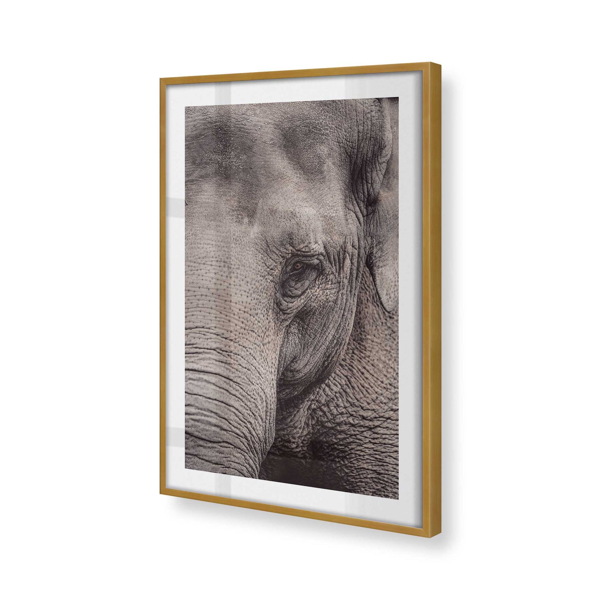 [Color:Polished Gold], Picture of art in a Polished Gold frame at an angle
