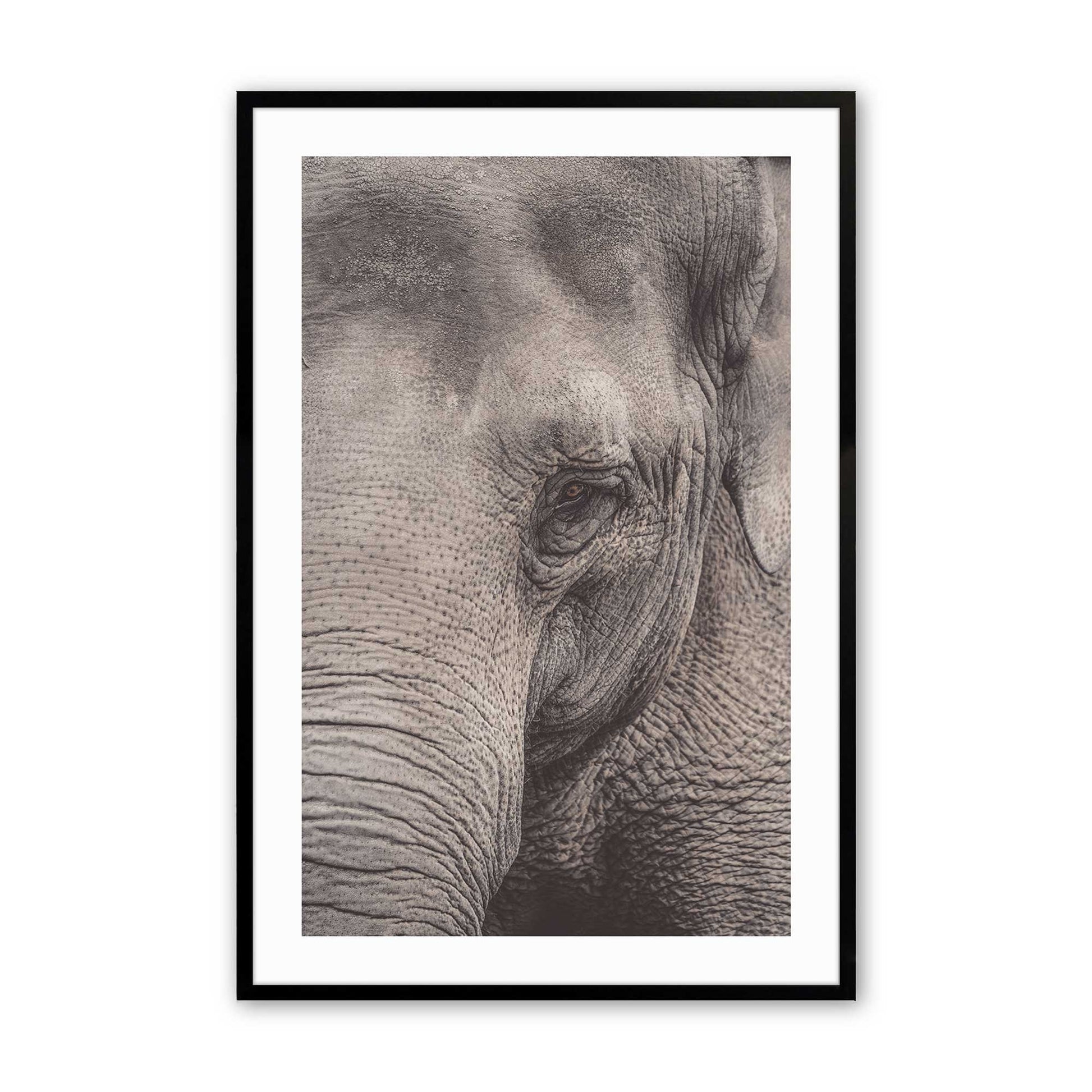 [Color:Satin Black],[SPECIAL], Front image of the art