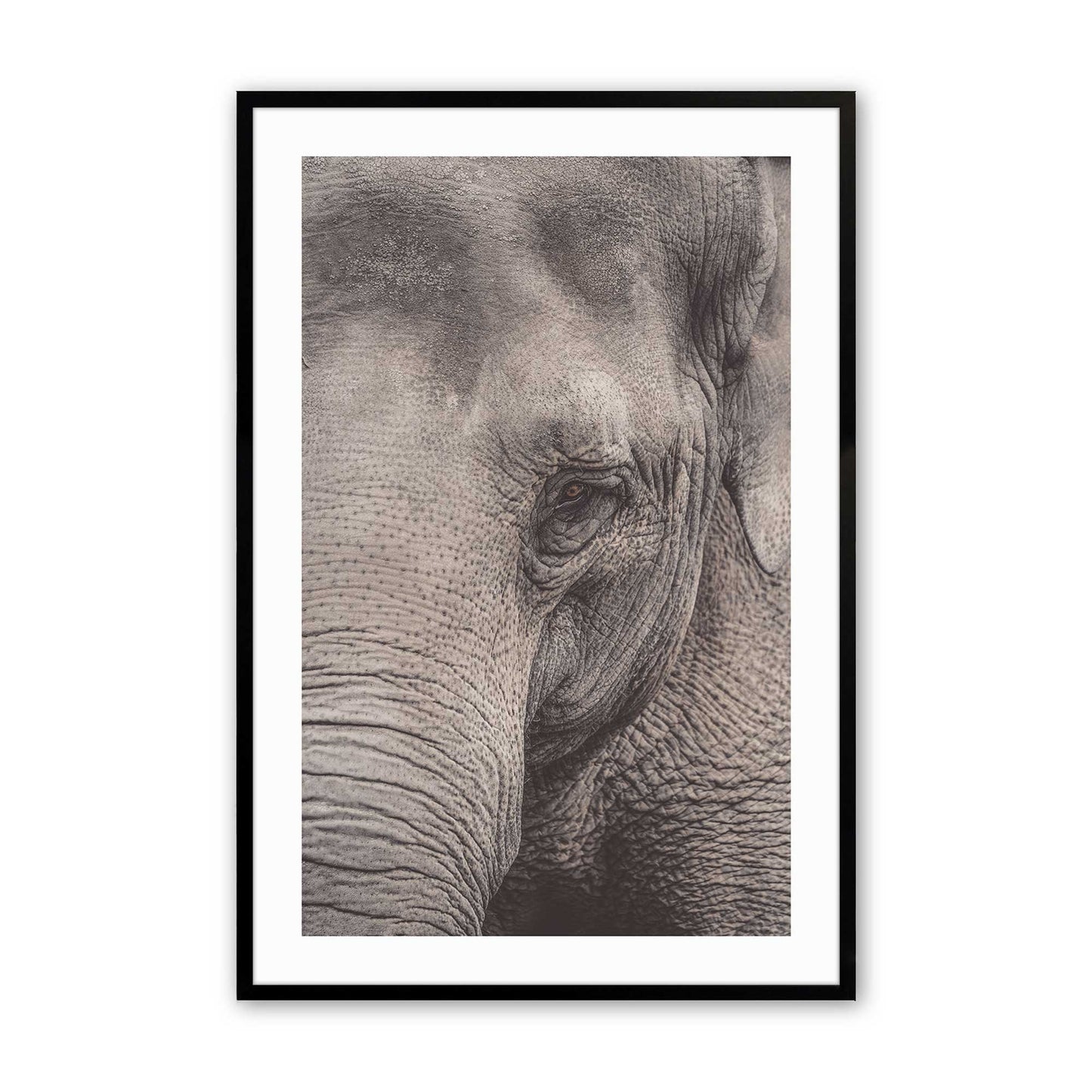[Color:Satin Black], Picture of art in a Satin Black frame
