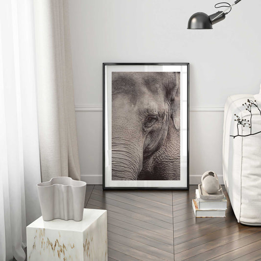 [LIFESTYLE], Picture of art in a room