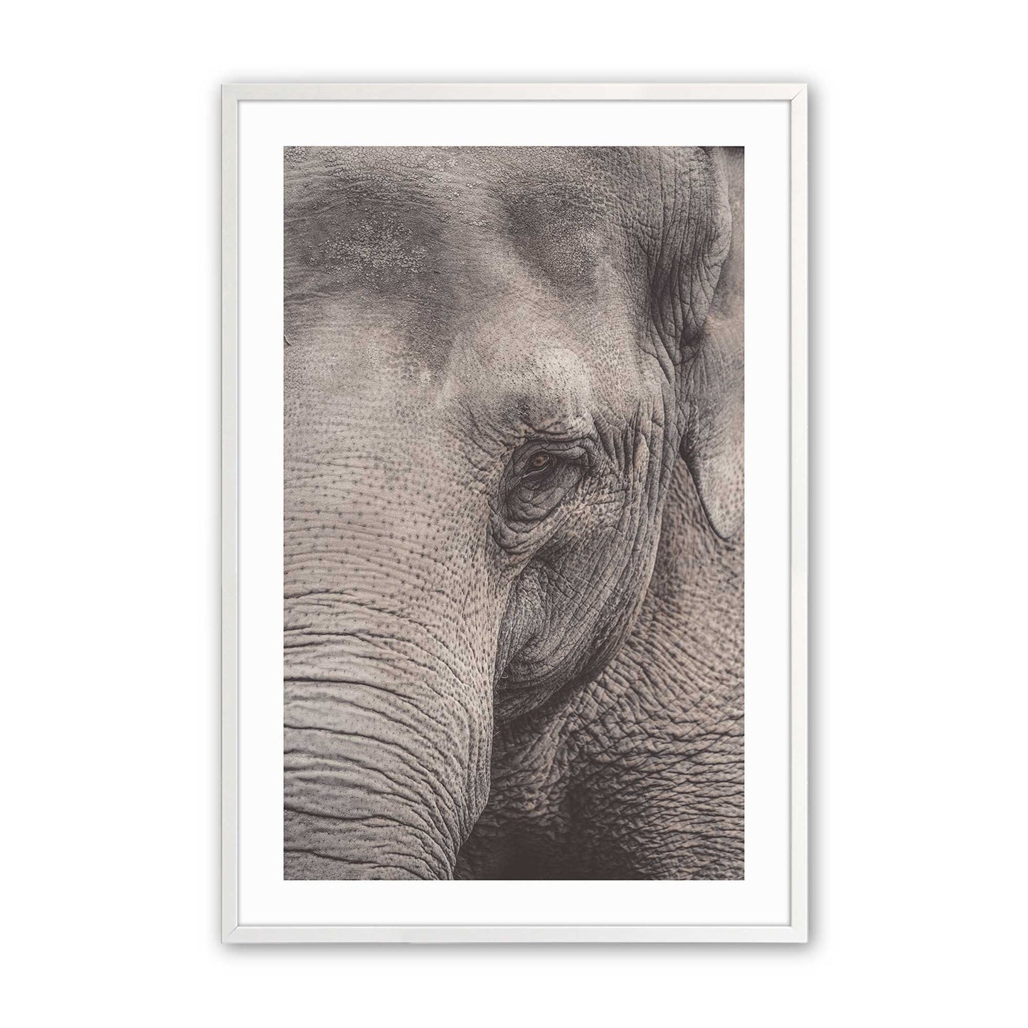 [Color:Opaque White], Picture of art in a Opaque White frame