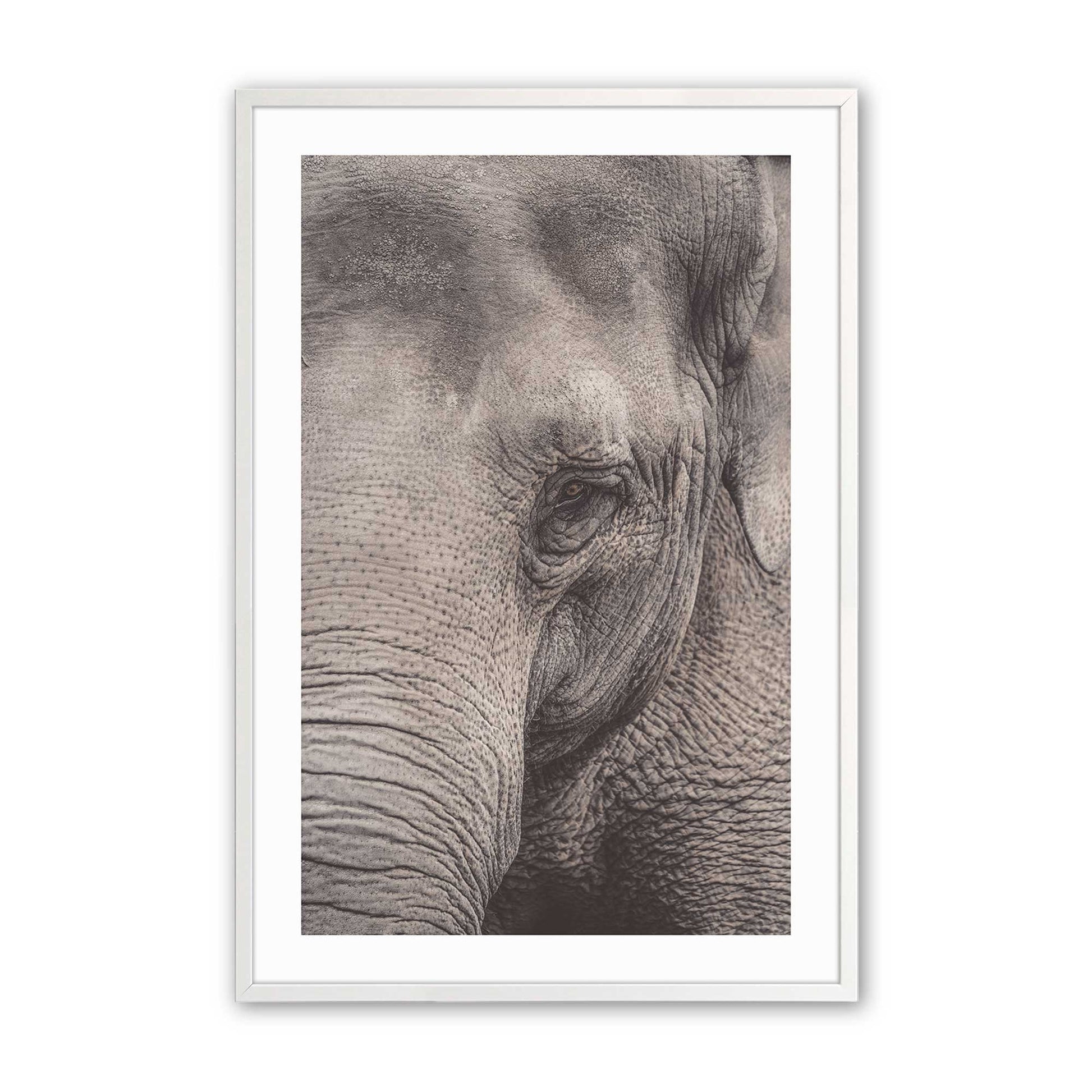[Color:Opaque White], Picture of art in a Opaque White frame