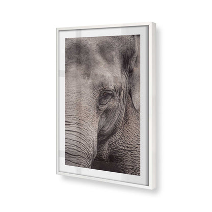 [Color:Opaque White], Picture of art in a Opaque White frame at an angle