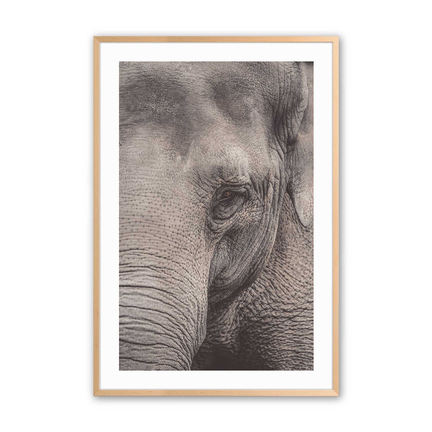 [Color:Raw Maple], Picture of art in a Raw Maple frame