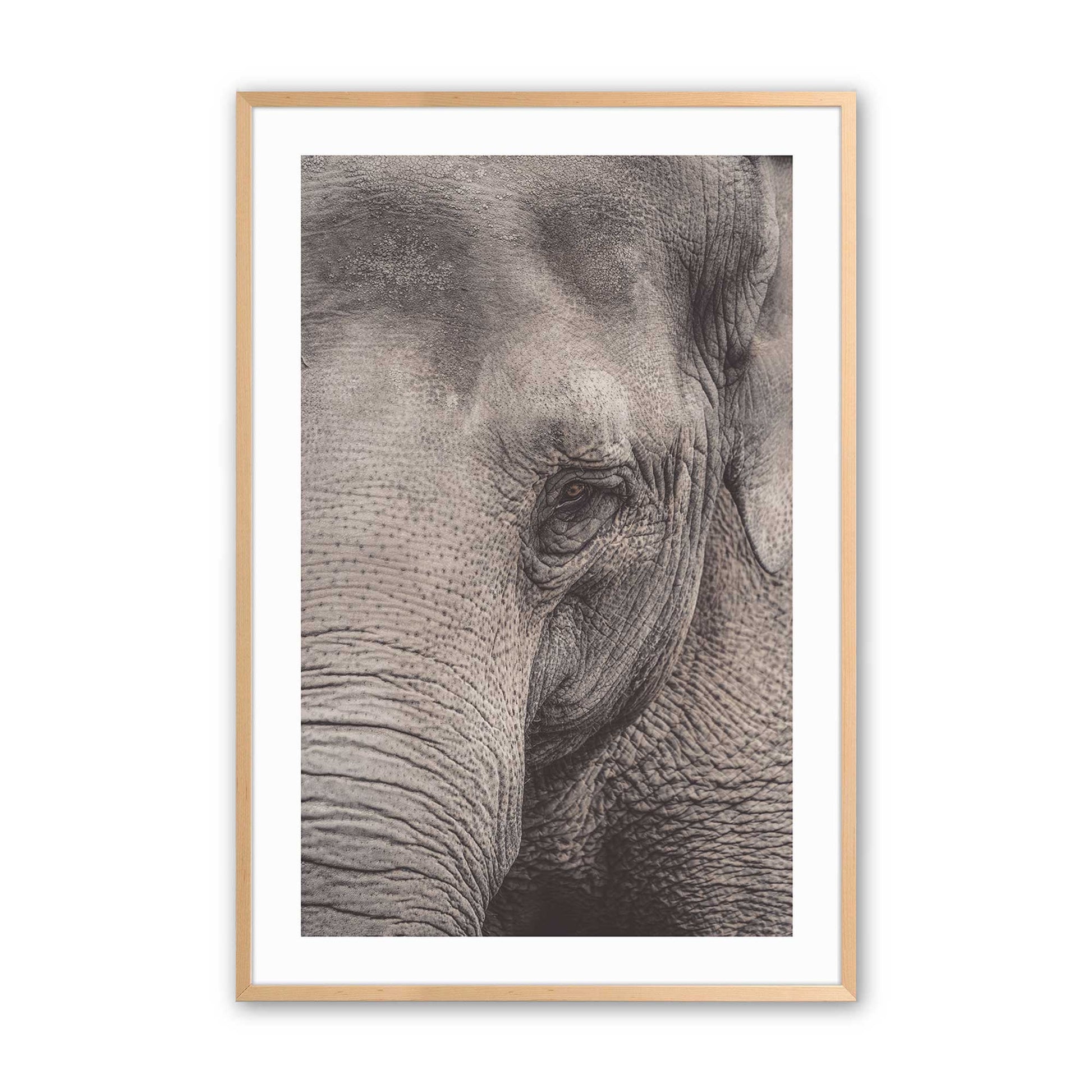 [Color:Raw Maple], Picture of art in a Raw Maple frame