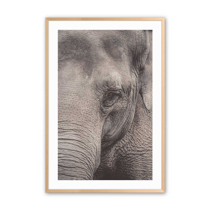 [Color:Raw Maple], Picture of art in a Raw Maple frame