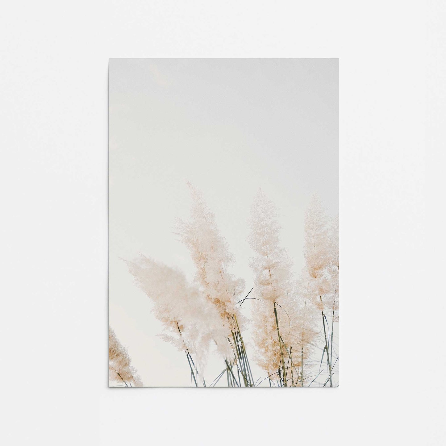 [color:Rolled Print], Picture of close up of art