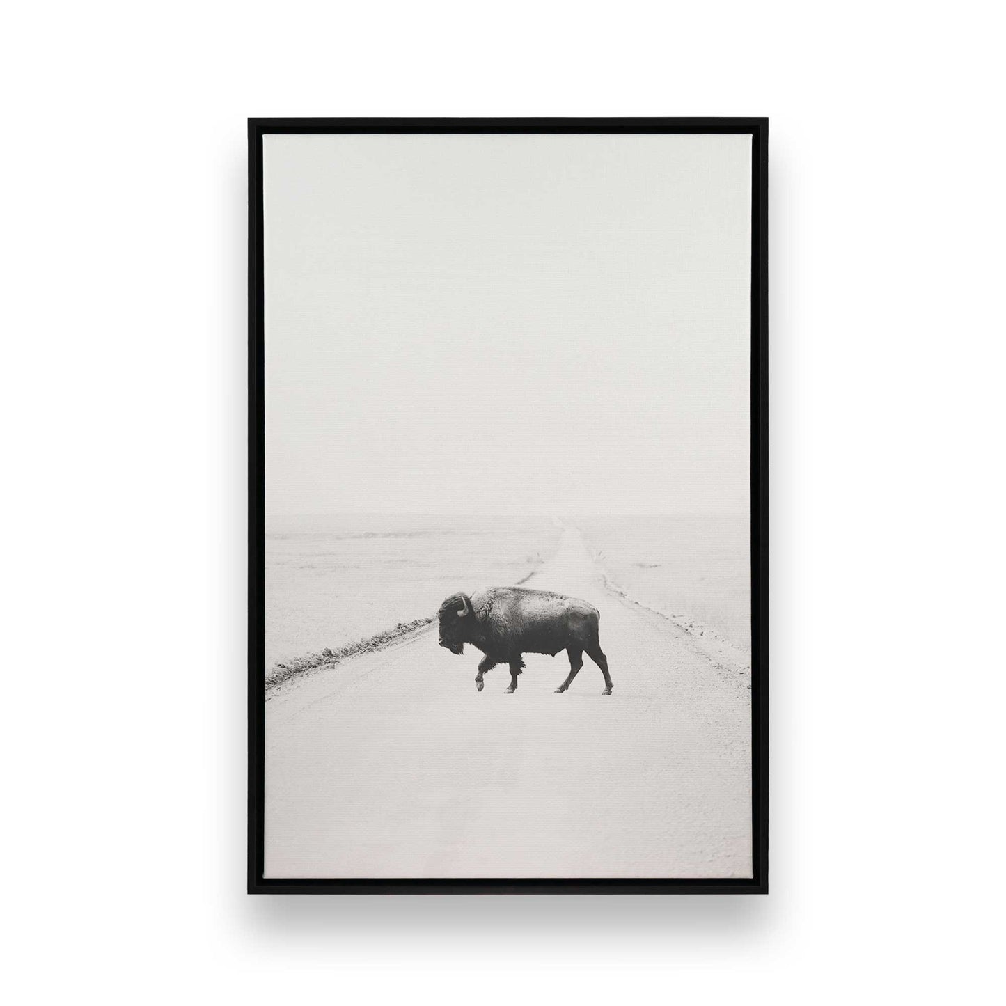 [Color:Satin Black],[SPECIAL], Front image of the art