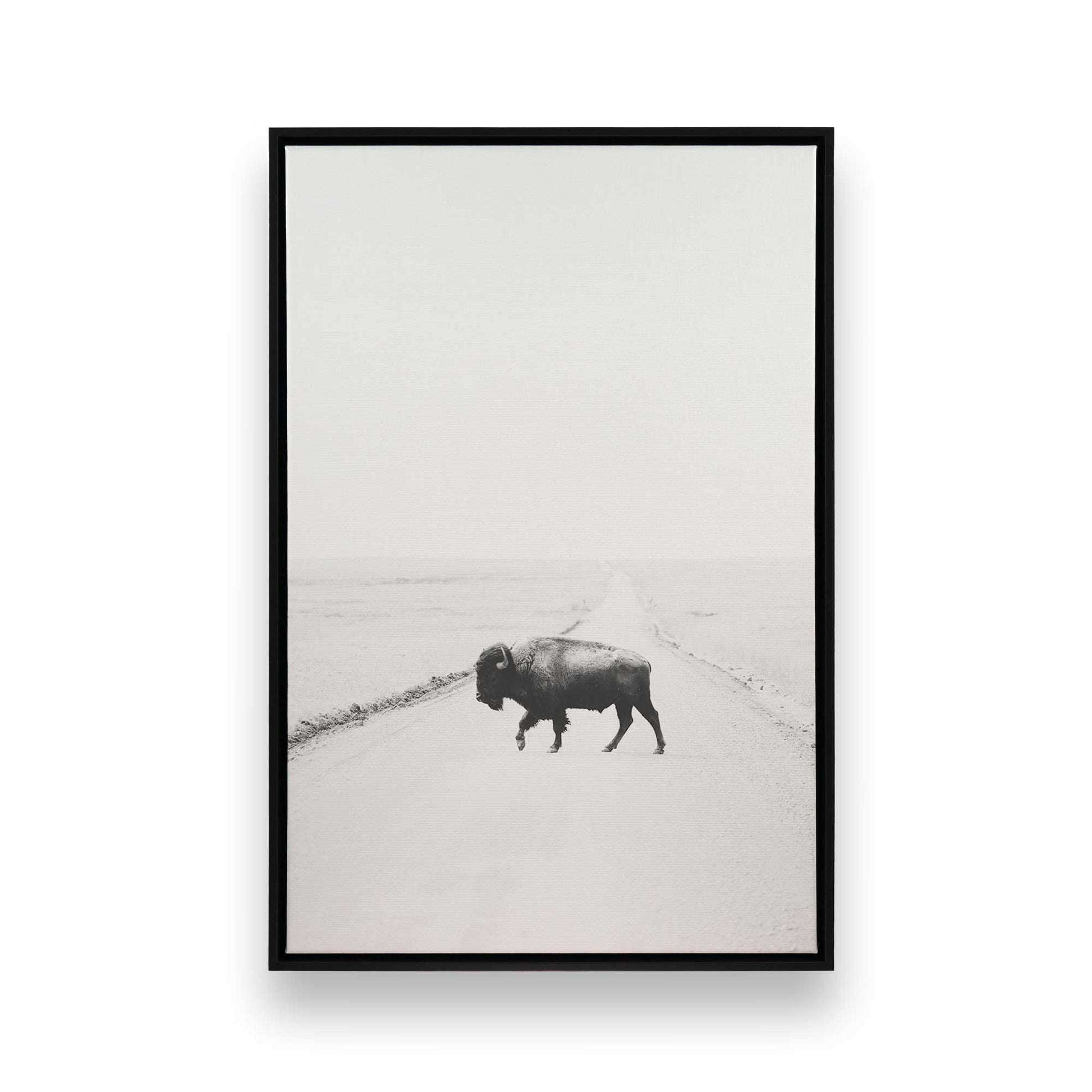 [Color:Satin Black],[SPECIAL], Front image of the art
