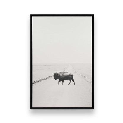 [Color:Satin Black],[SPECIAL], Front image of the art