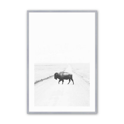 [Color:Polished Chrome], Picture of art in a Polished Chrome frame