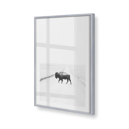 [Color:Polished Chrome], Picture of art in a Polished Chrome frame at an angle