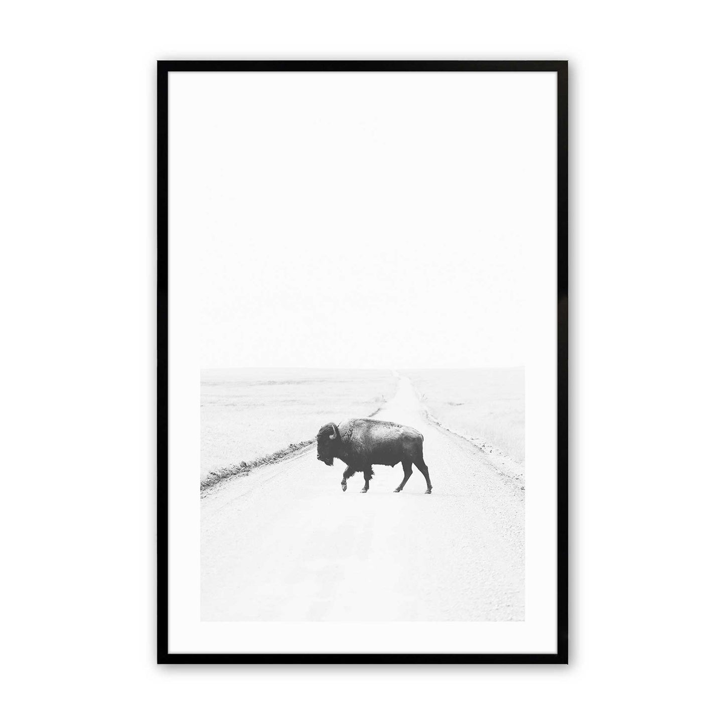 [Color:Satin Black],[SPECIAL], Front image of the art