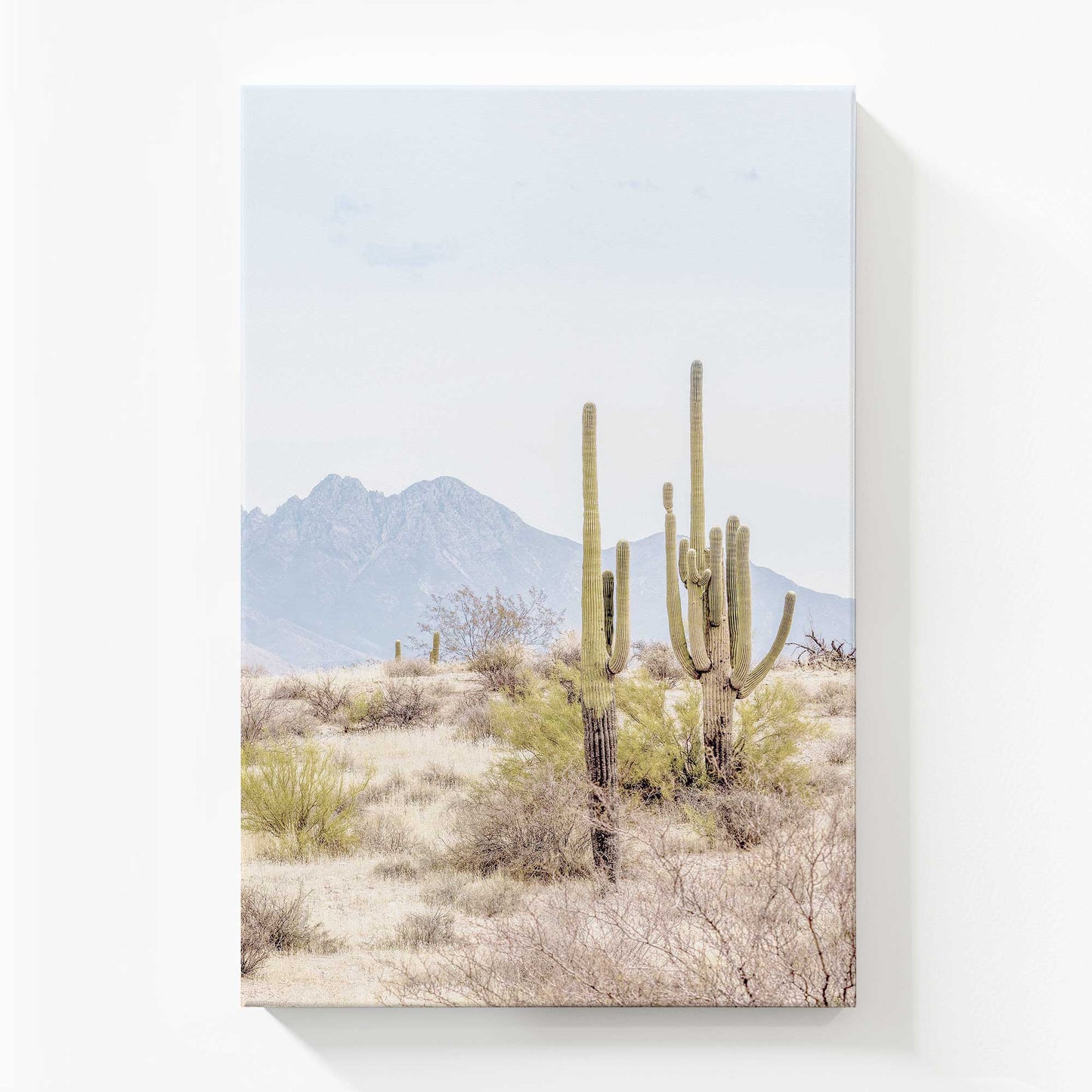 [Color:Stretched Canvas], Picture of art