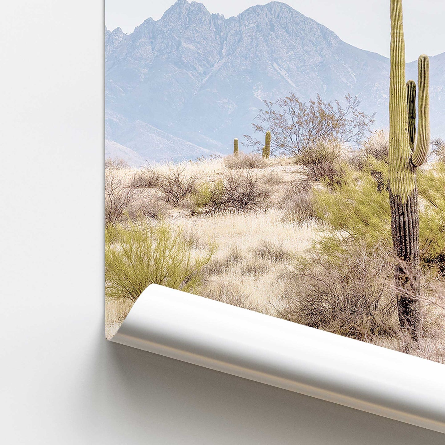 Mountain Cactus Scene Promotional Rolled Print