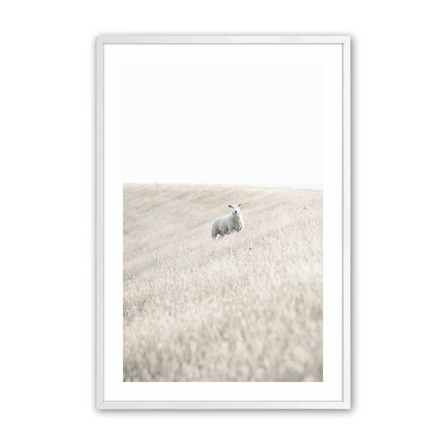 [Color:Opaque White], Picture of art in a Opaque White frame