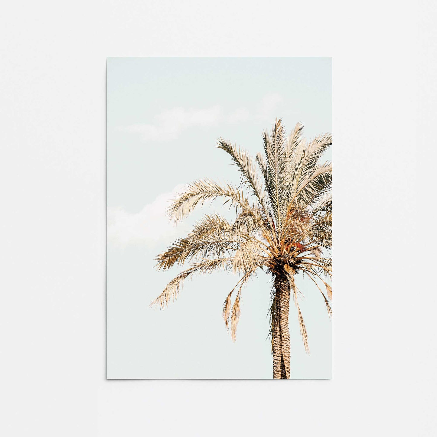 Garden Palm View Promotional Rolled Print