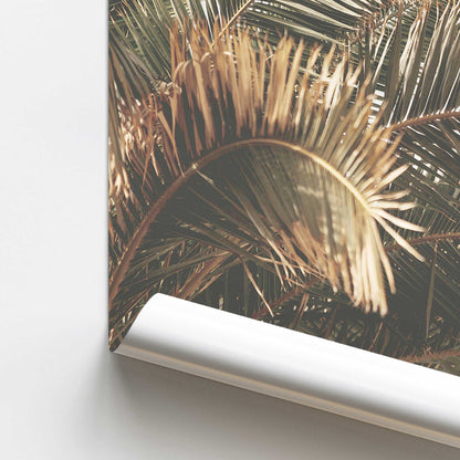 Palm Grove Bliss Promotional Rolled Print