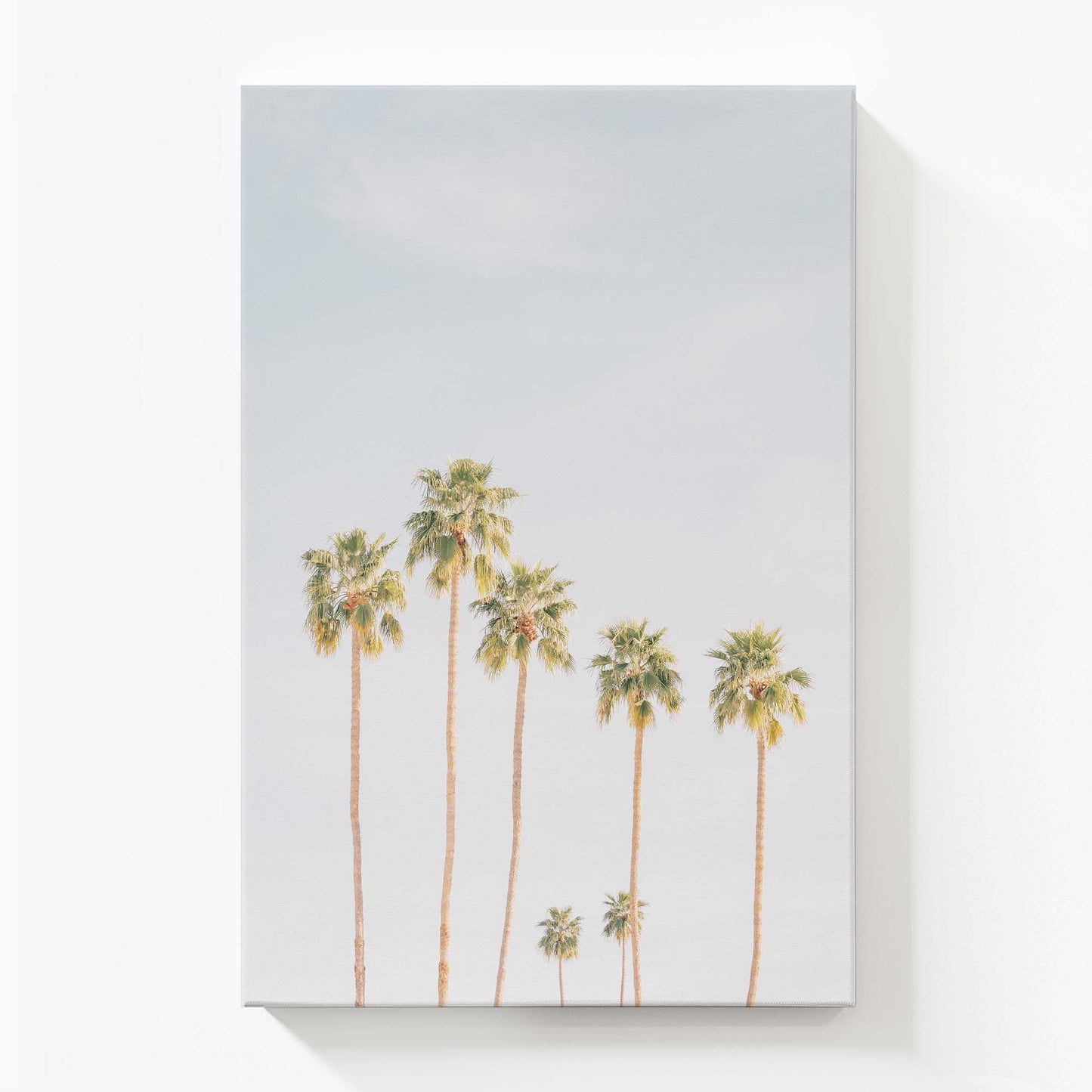 [Color:Stretched Canvas], Picture of art