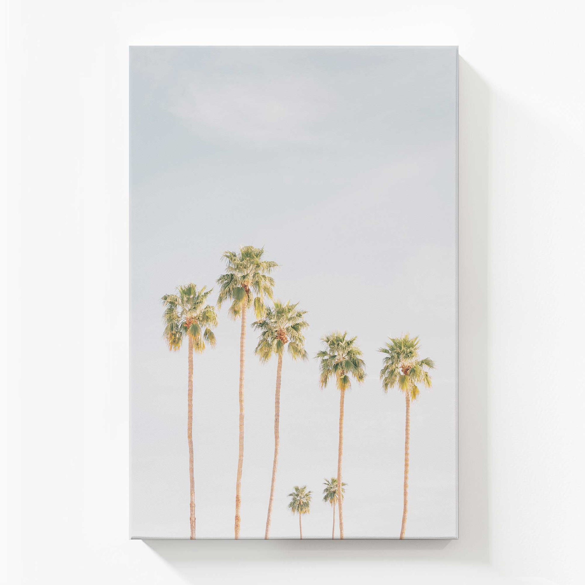 [Color:Stretched Canvas], Picture of art