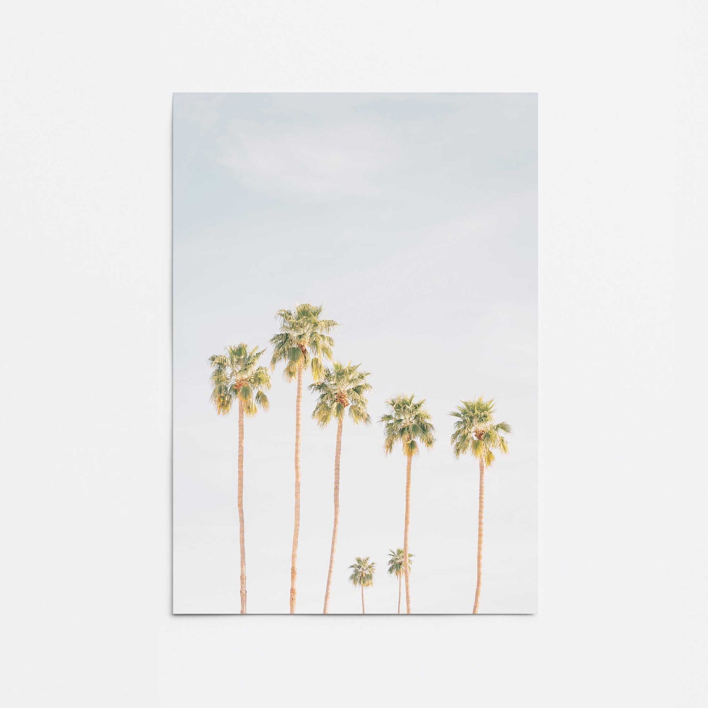 Palm Tree Symphony Promotional Rolled Print