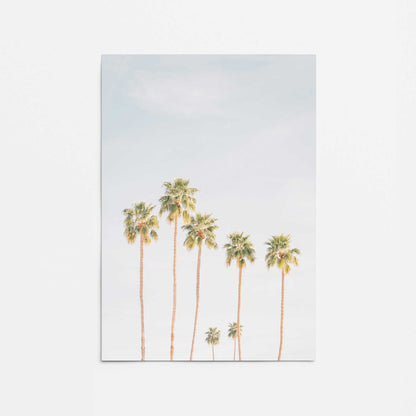 Palm Tree Symphony Promotional Rolled Print
