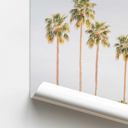 Palm Tree Symphony Promotional Rolled Print