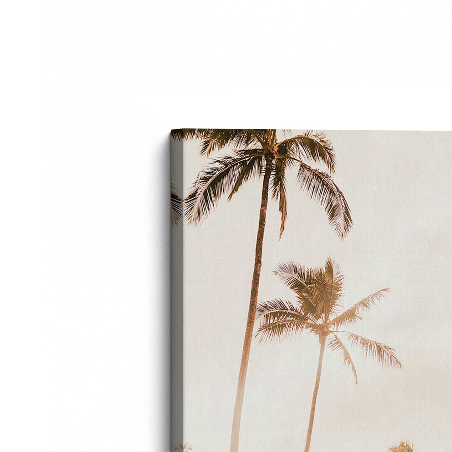 [Color:Stretched Canvas], Picture of the corner of the art