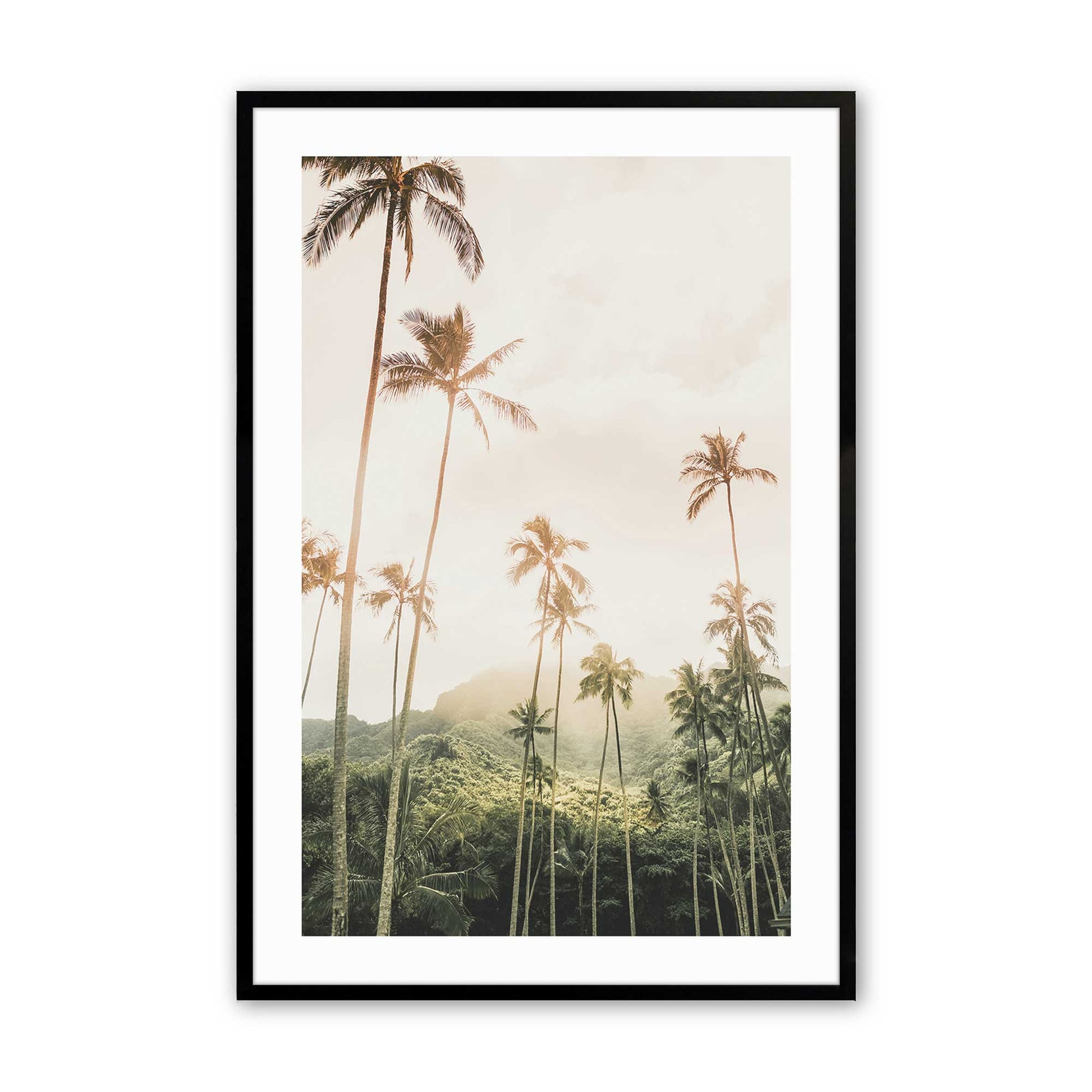 [Color:Satin Black],[SPECIAL], Front image of the art